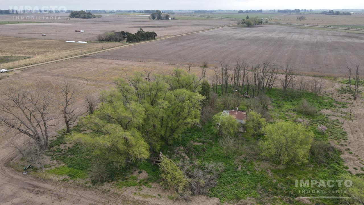 Foto de Campo de 33.3 hectáreas AGRICOLAS en 25 de Mayo, imagen 4