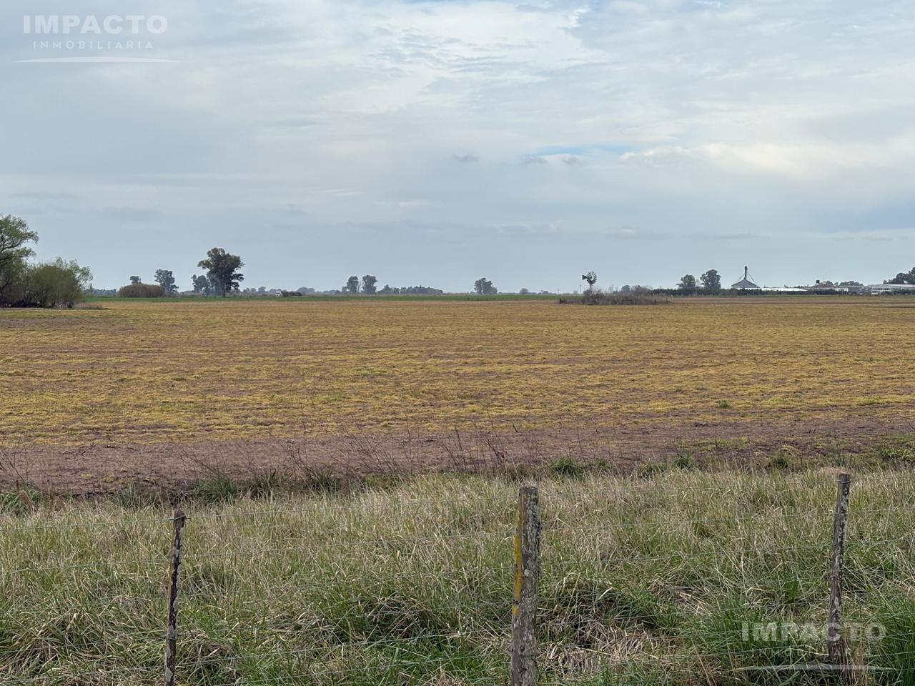 Foto de Campo de 33.3 hectáreas AGRICOLAS en 25 de Mayo, imagen 2