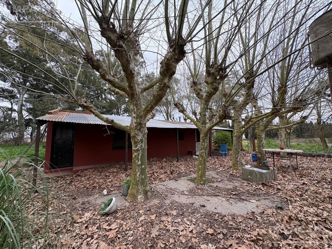 Foto de En venta Campo agrícola 60 hectáreas en Roque Pérez, imagen 4