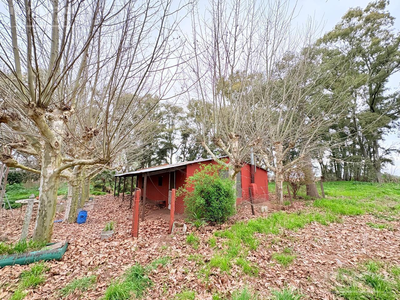 Foto de En venta Campo agrícola 60 hectáreas en Roque Pérez, imagen 5