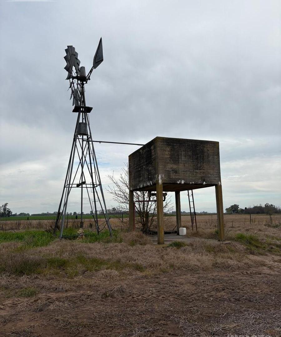 Foto de En venta Campo agrícola 60 hectáreas en Roque Pérez, imagen 3