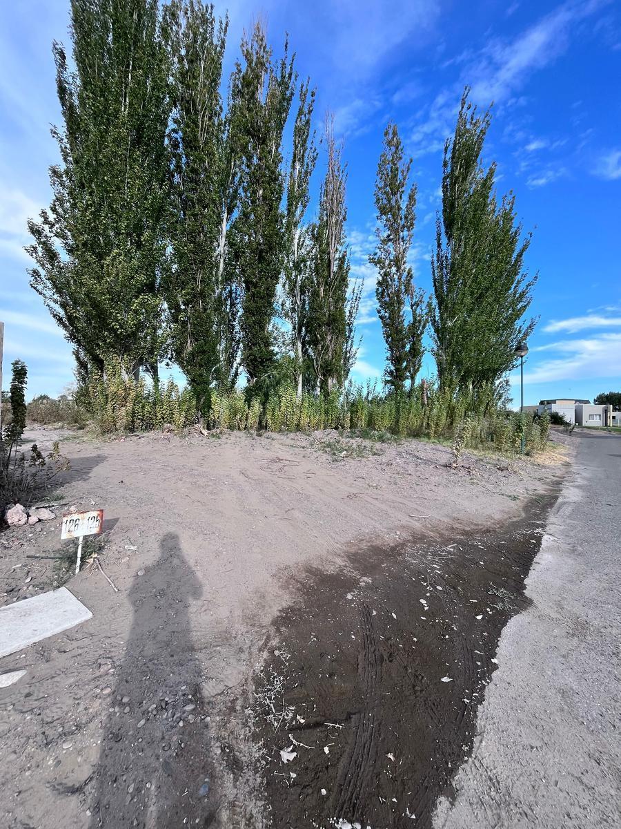 Terreno en Venta Canales de Plottier 4