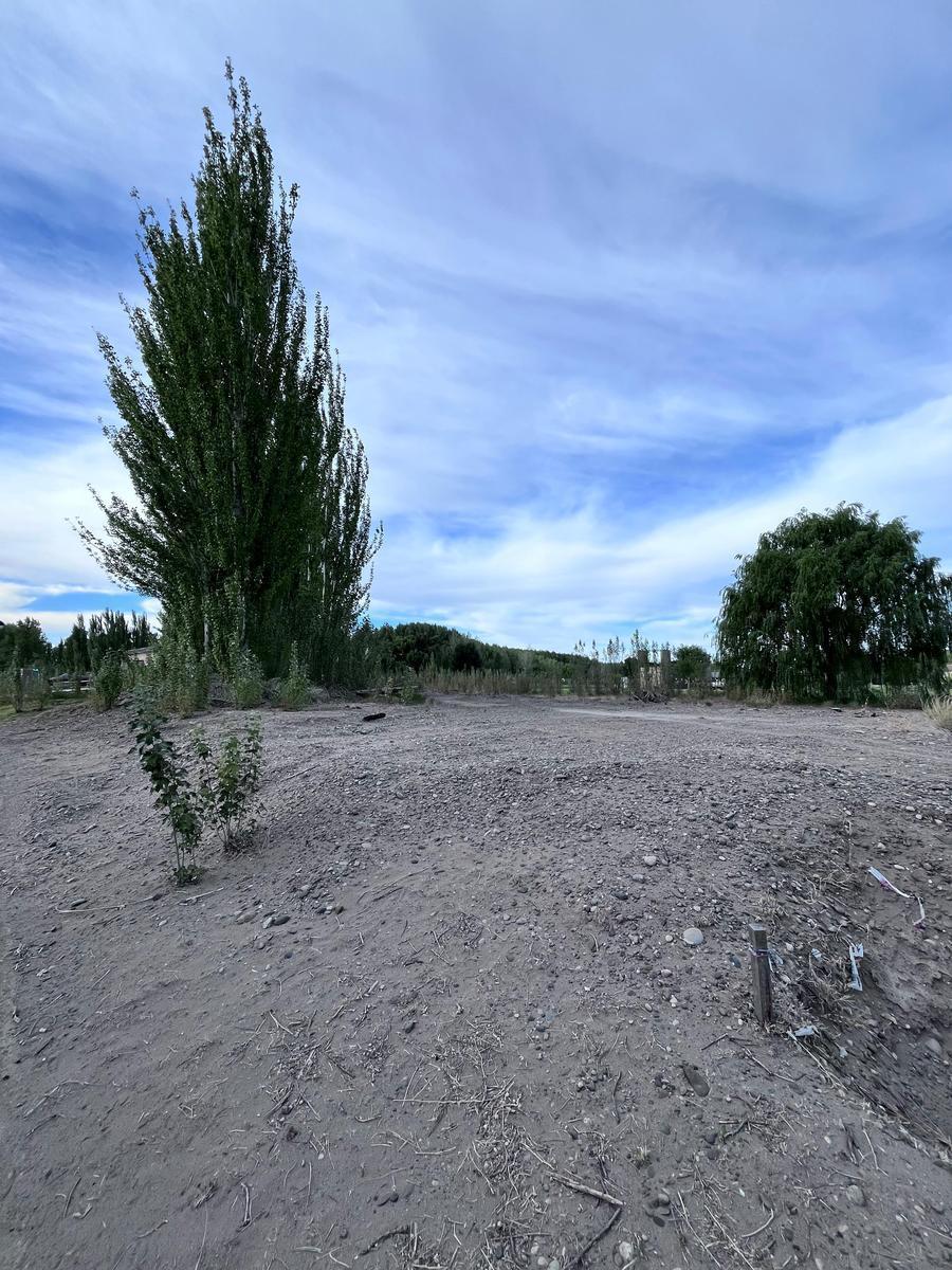 Terreno en Venta Canales de Plottier 5