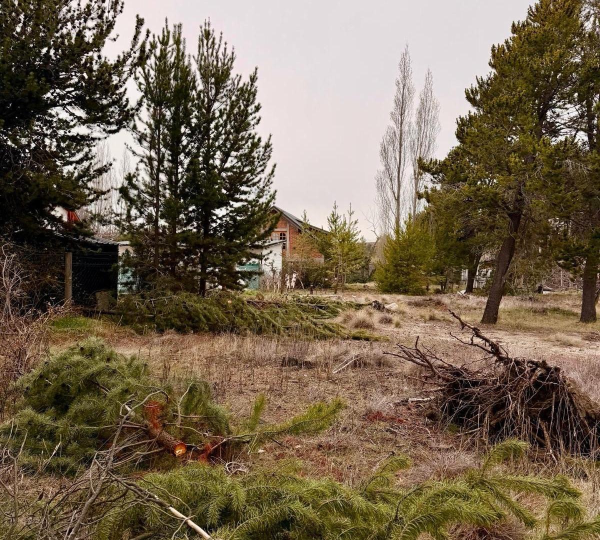 Foto de Terreno en Dina Huapi, imagen 1