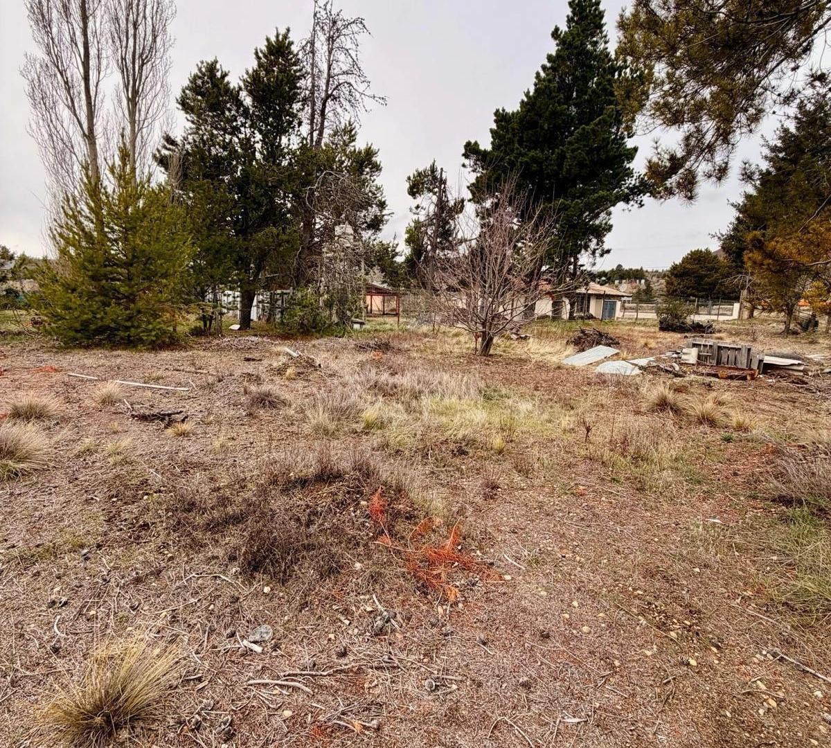 Foto de Terreno en Dina Huapi, imagen 2