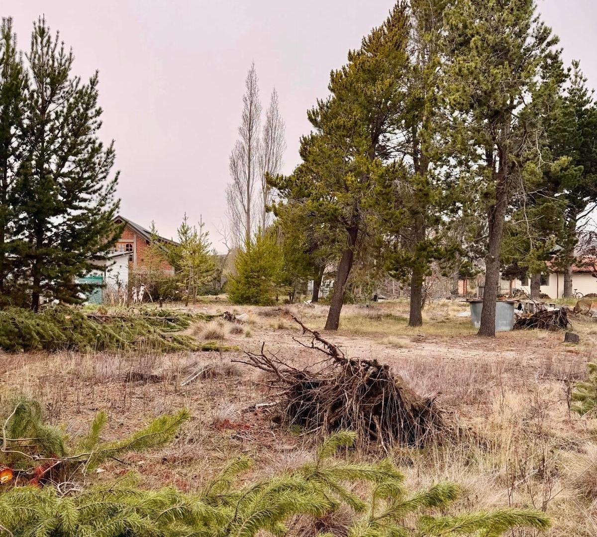 Foto de Terreno en Dina Huapi, imagen 3