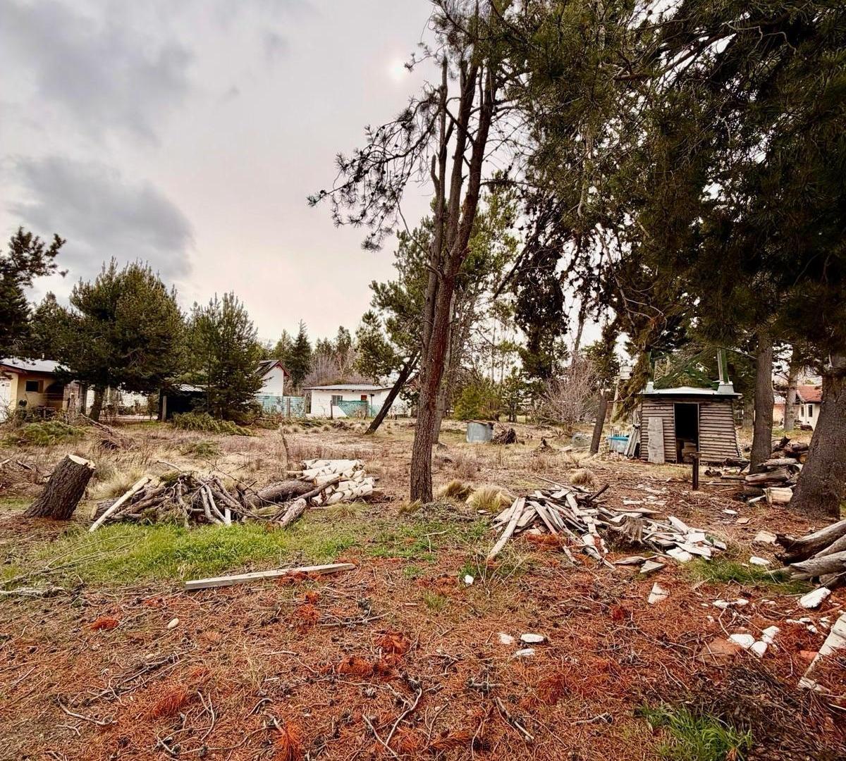 Foto de Terreno en Dina Huapi, imagen 5