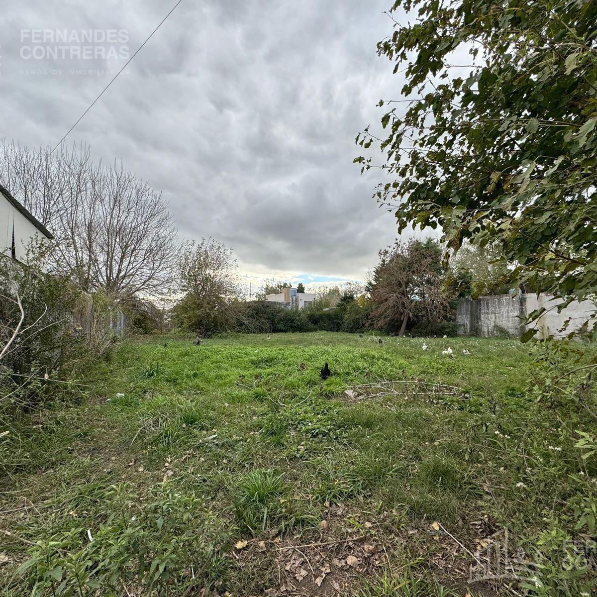 Dos Terrenos en Venta 3