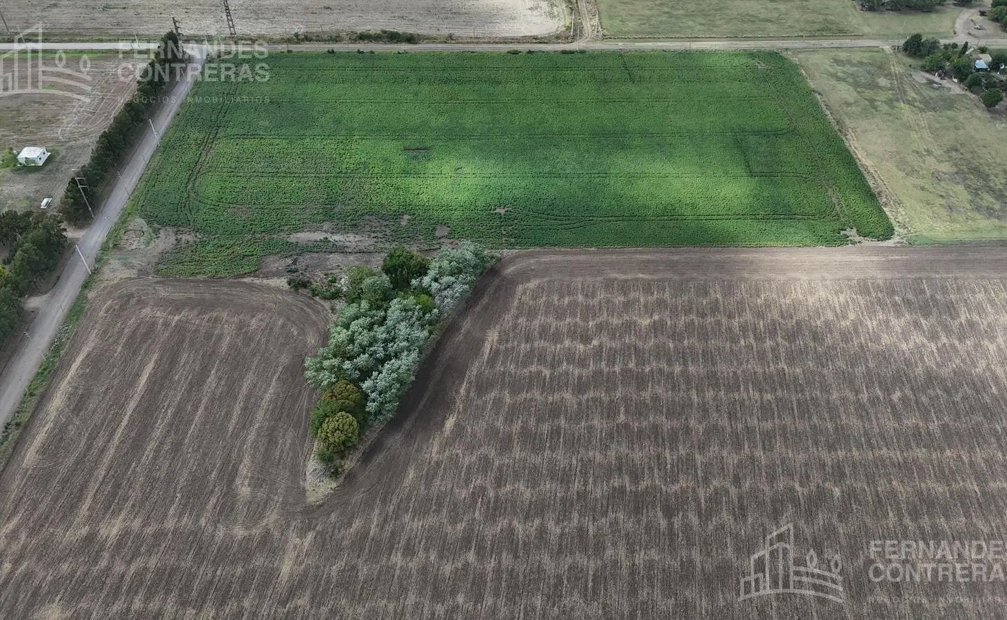 EN VENTA FRACCION AGRICOLA 3