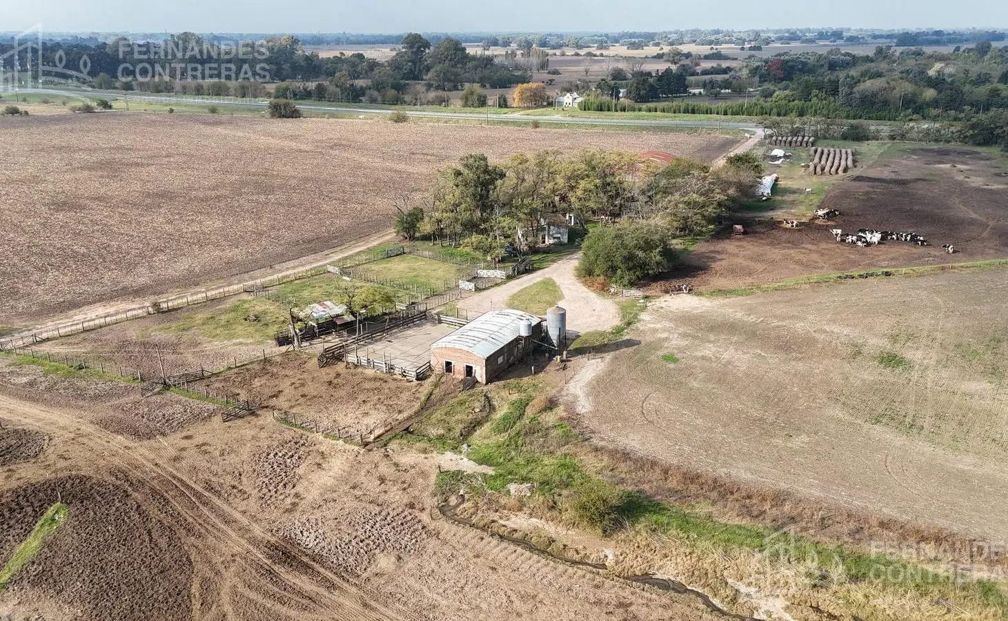 EN VENTA 175 HAS AGRICOLAS CAÑUELAS 4