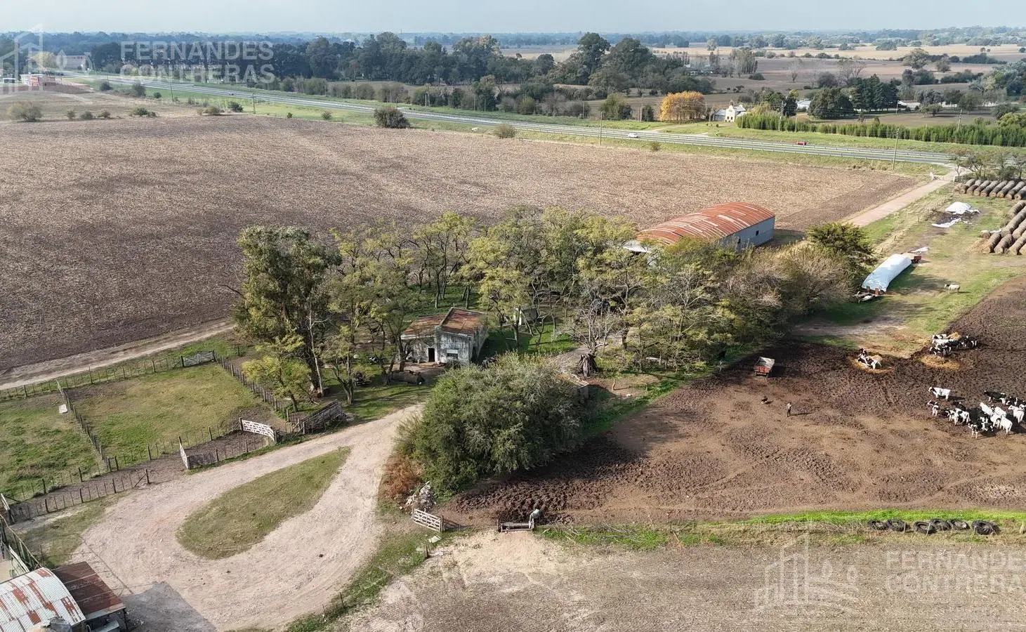 EN VENTA 175 HAS AGRICOLAS CAÑUELAS 5