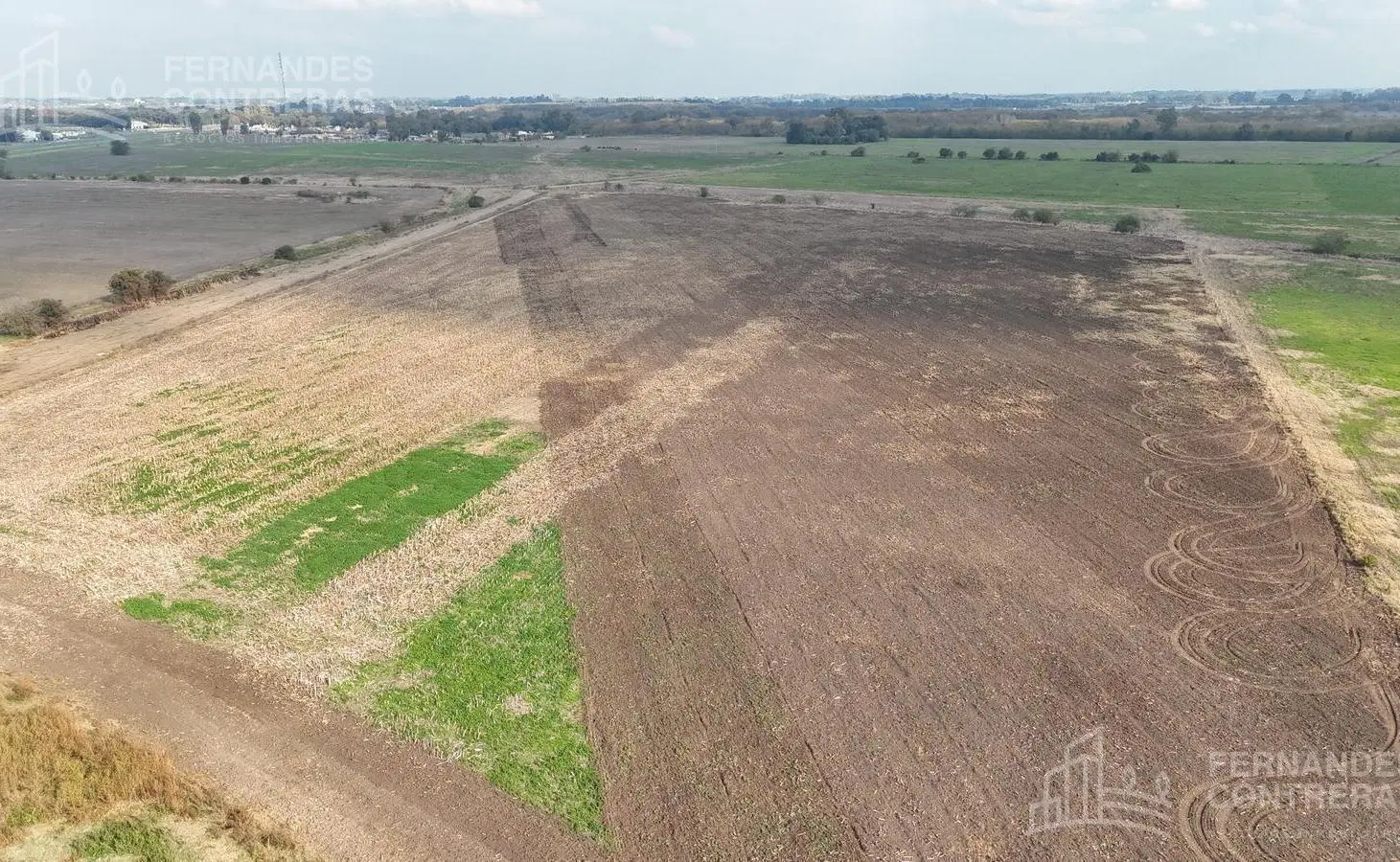 EN VENTA 175 HAS AGRICOLAS CAÑUELAS 3