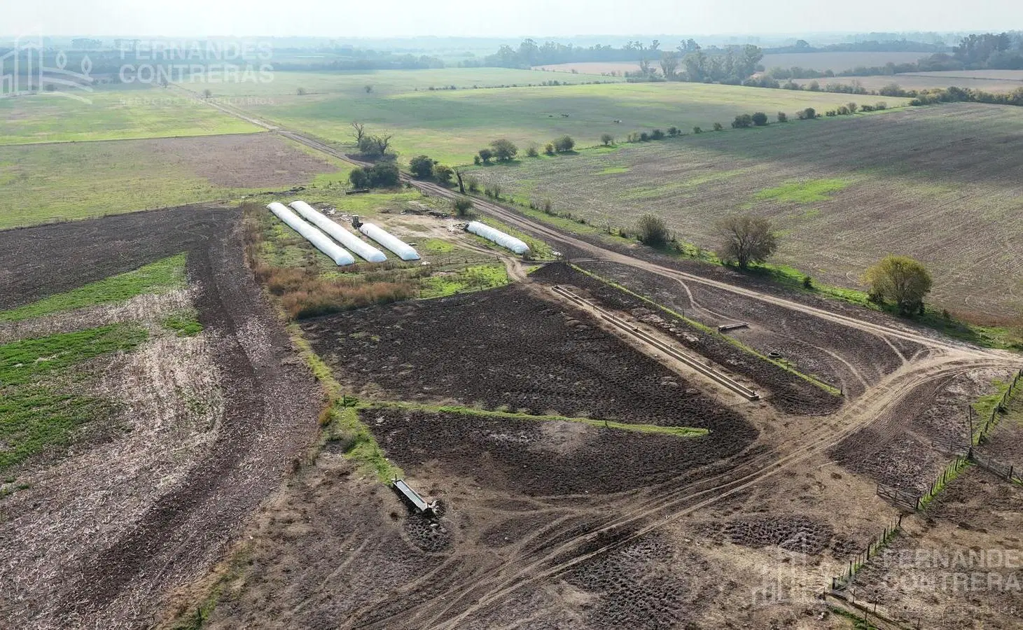 EN VENTA 175 HAS AGRICOLAS CAÑUELAS 2