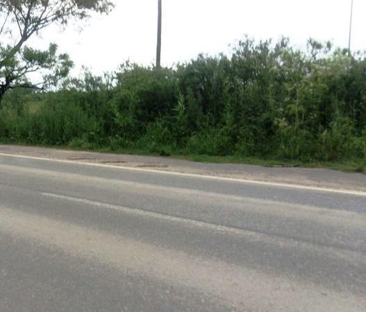Foto de Campo en Los Cardales, imagen 3