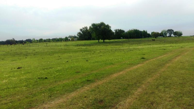Campo en Los Cardales