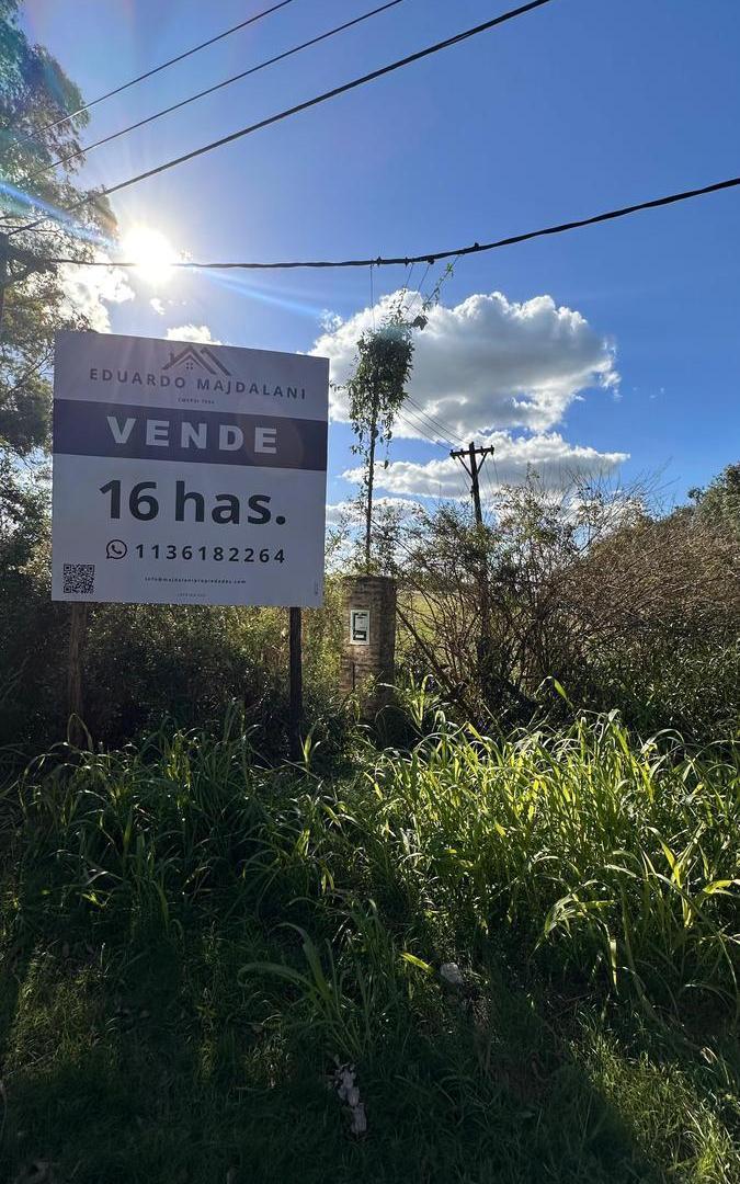Foto de Campo en Los Cardales, imagen 4