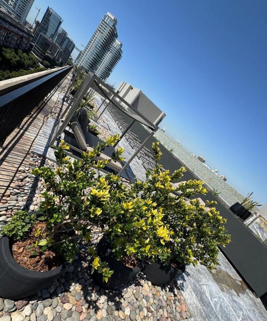 Foto de 2 Ambientes A Estrenar Al Frente Full Amenities En Lumiere Boulevard, imagen 3