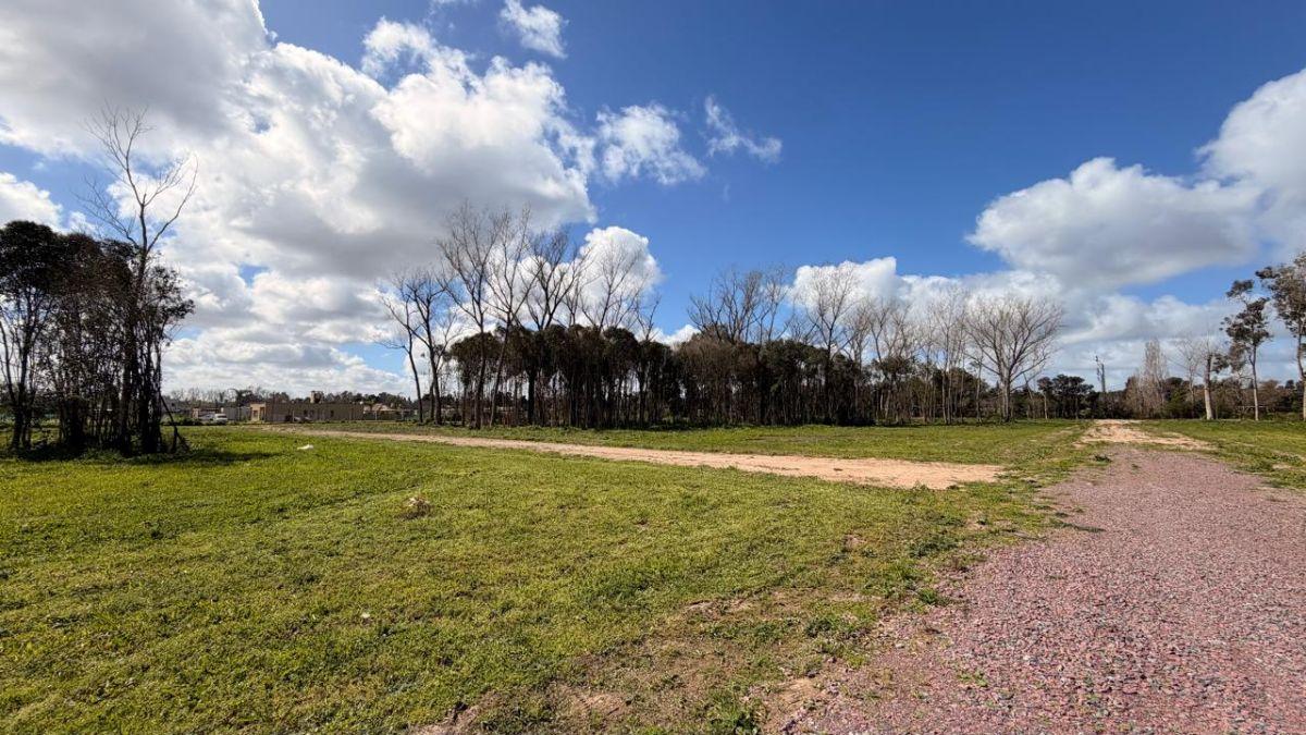 Foto de Lotes en venta - El Pato (Las Margaritas), imagen 2
