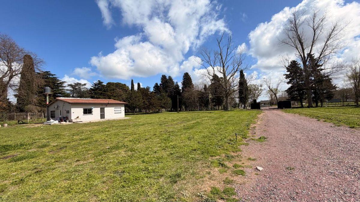 Foto de Lotes en venta - El Pato (Las Margaritas), imagen 5
