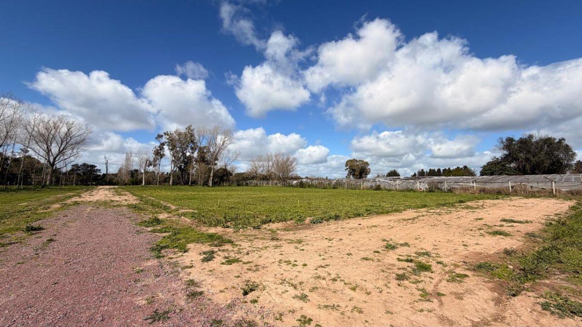 Foto de Lotes en venta - El Pato (Las Margaritas), imagen 4