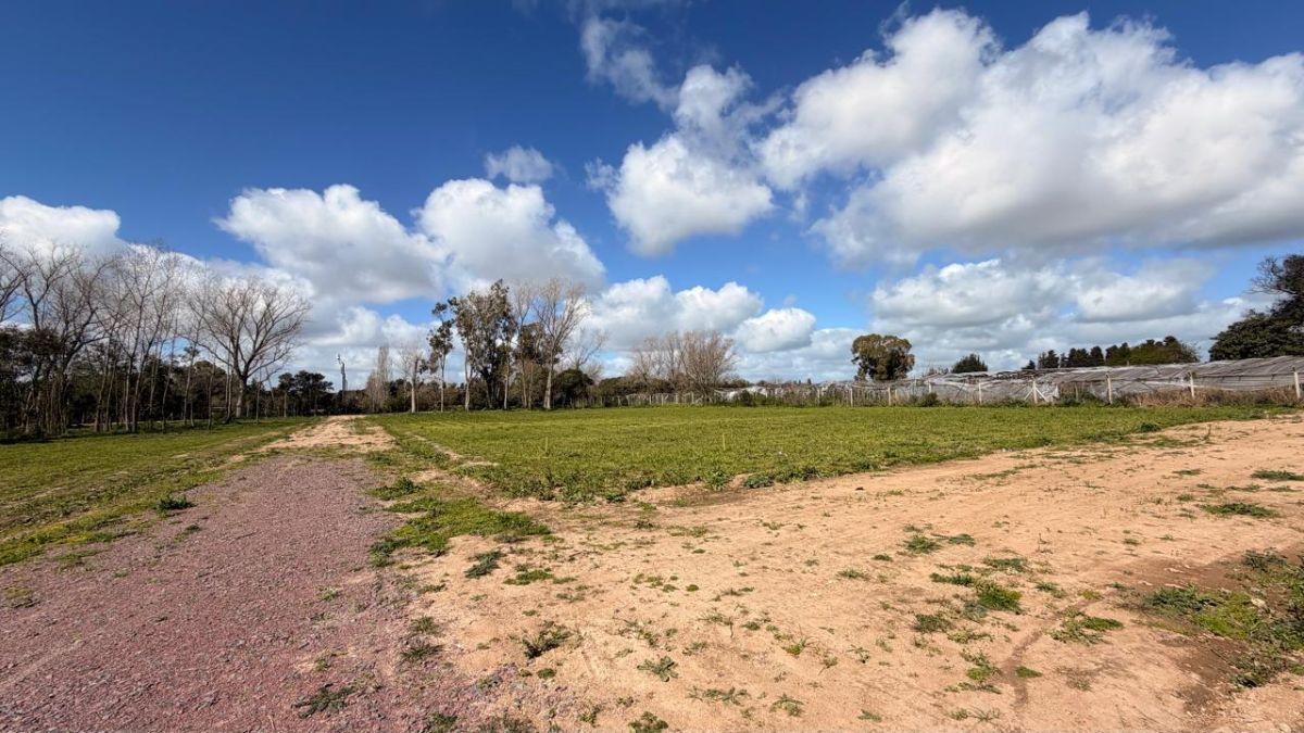Foto de Lotes en venta - El Pato (Las Margaritas), imagen 3