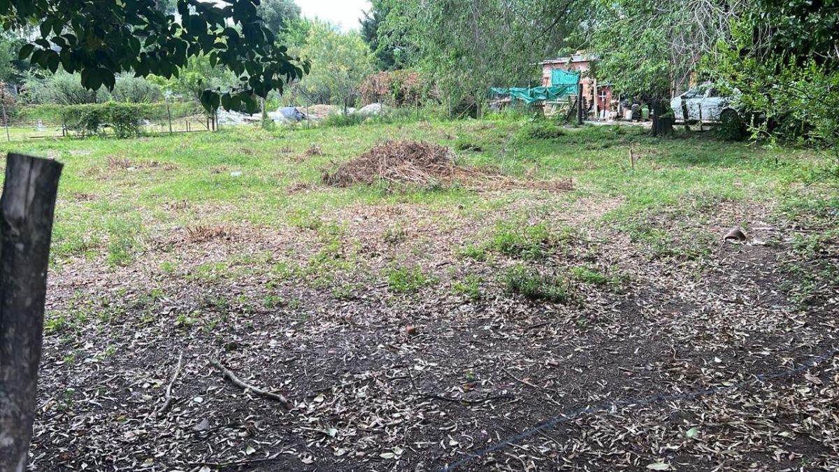 Foto de VENTA LOTE EN VILLA LIA, imagen 3
