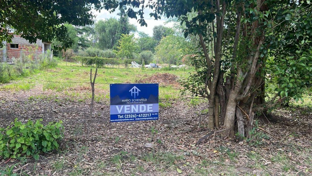 Foto de VENTA LOTE EN VILLA LIA, imagen 4