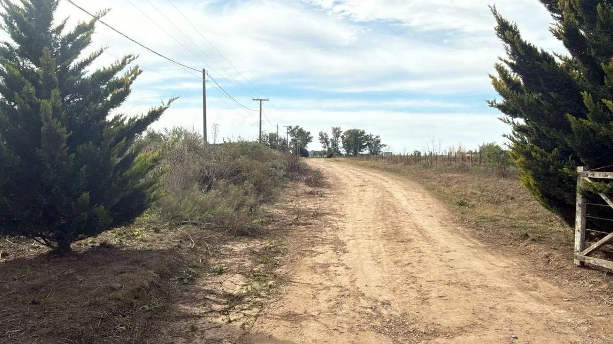 VENTA LOTE DE 2 HECTÀREAS RURAL CON VIVIENDAS 3