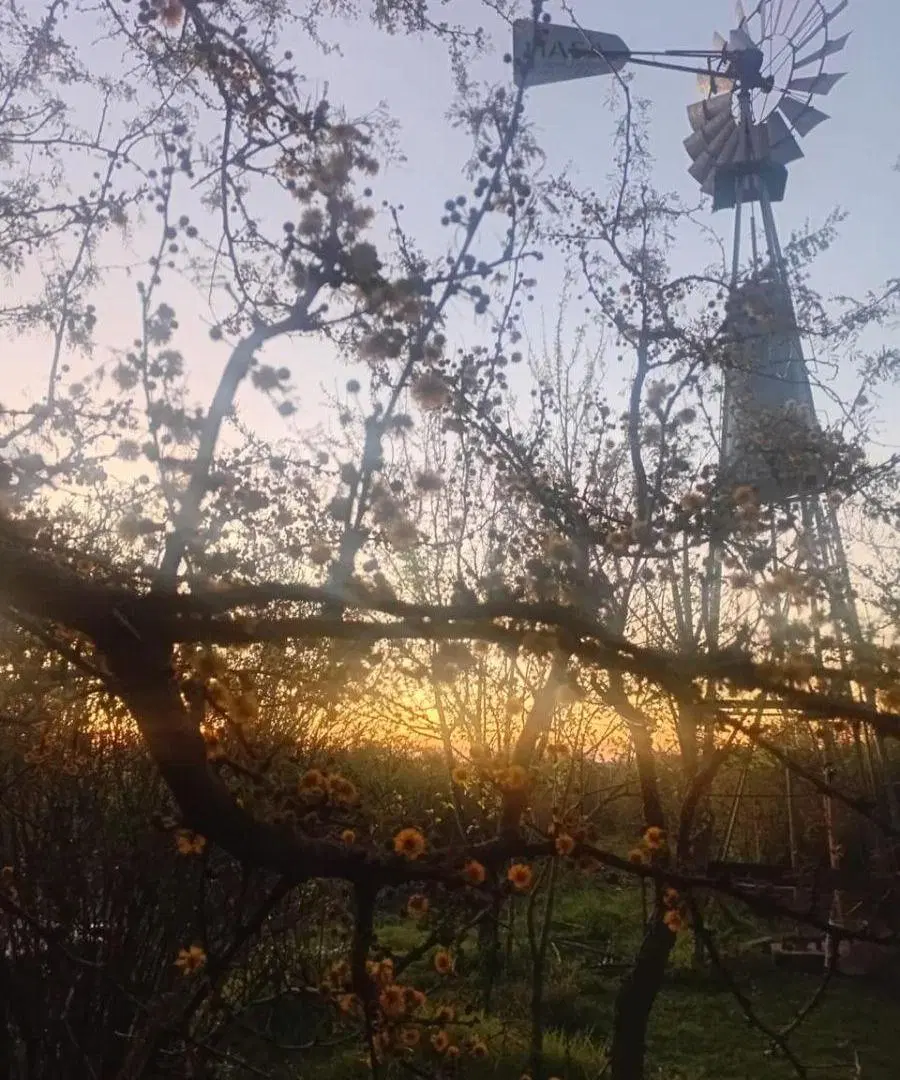 VENTA LOTE DE 2 HECTÀREAS RURAL CON VIVIENDAS 5