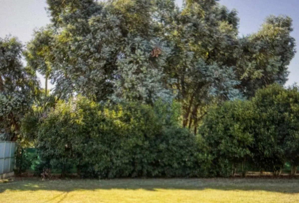 VENTA LOTE EN PUEBLO NUEVO (JAUREGUI-LUJAN) 4