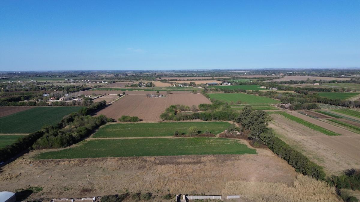 Oportunidad! Lote 2 Has Camino a San Carlos 3