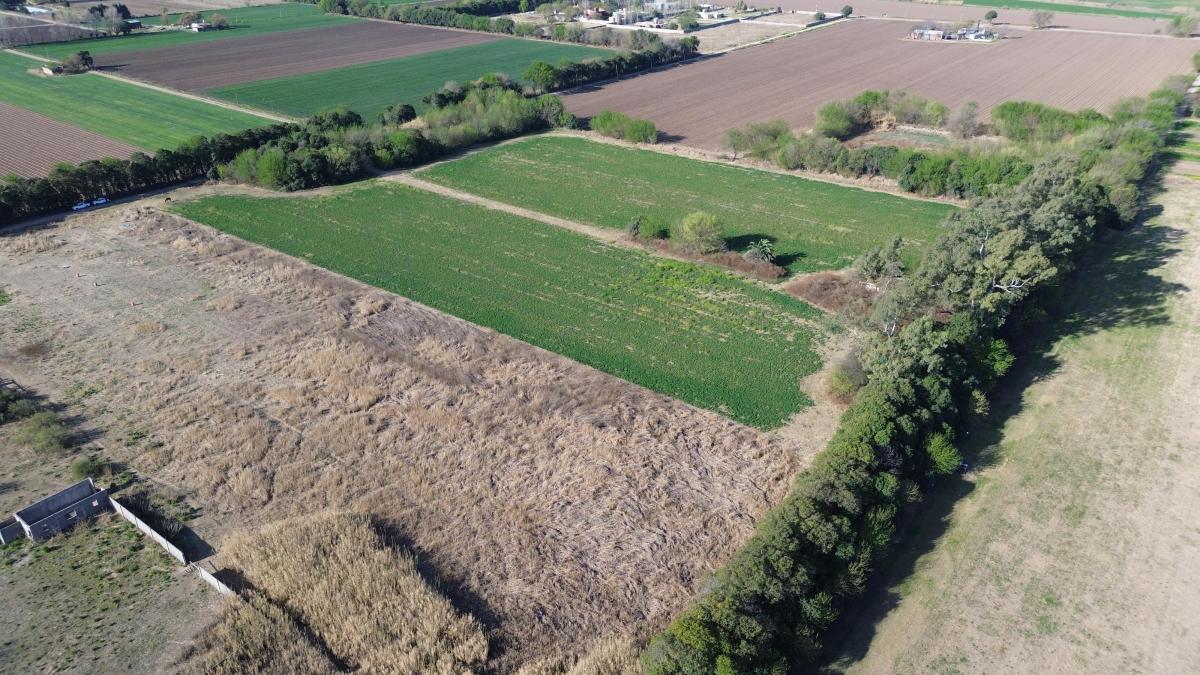 Oportunidad! Lote 2 Has Camino a San Carlos 5