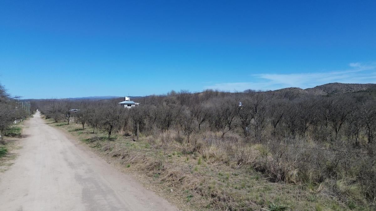 Lote 1.080 m² Villa Los Aromos 4