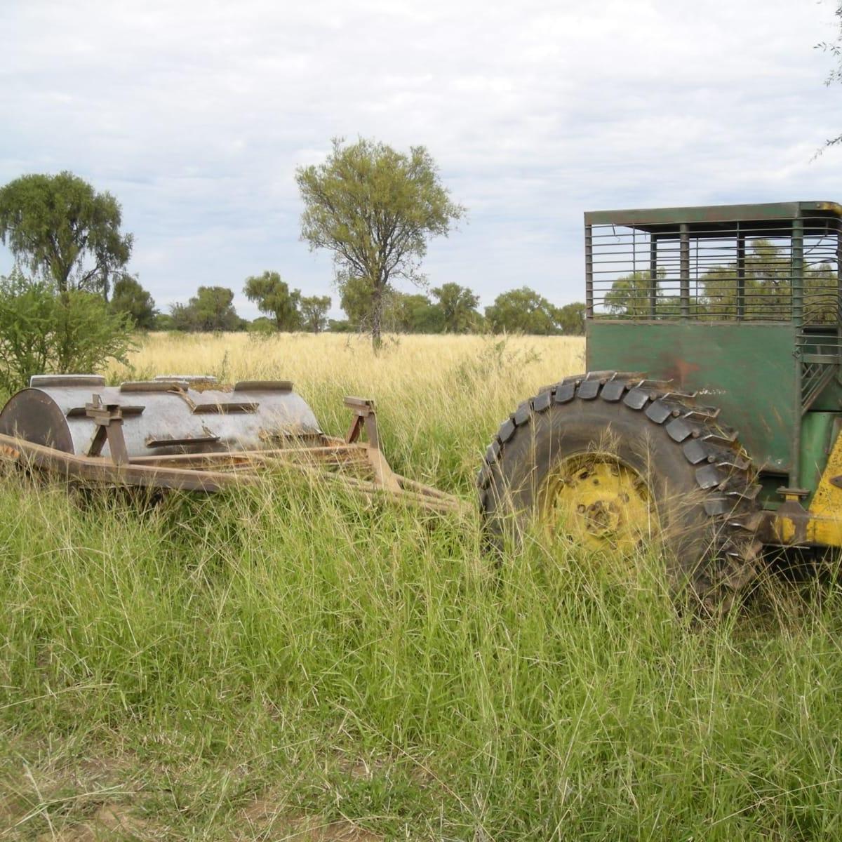Campo Ganadero 3.000 Hectáreas en Chuña, Córdoba 4