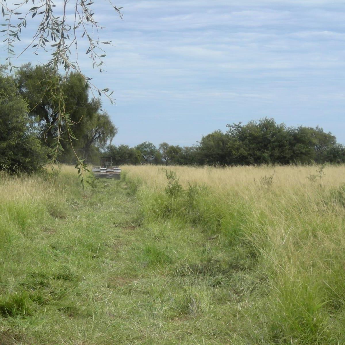 Campo Ganadero 3.000 Hectáreas en Chuña, Córdoba 2
