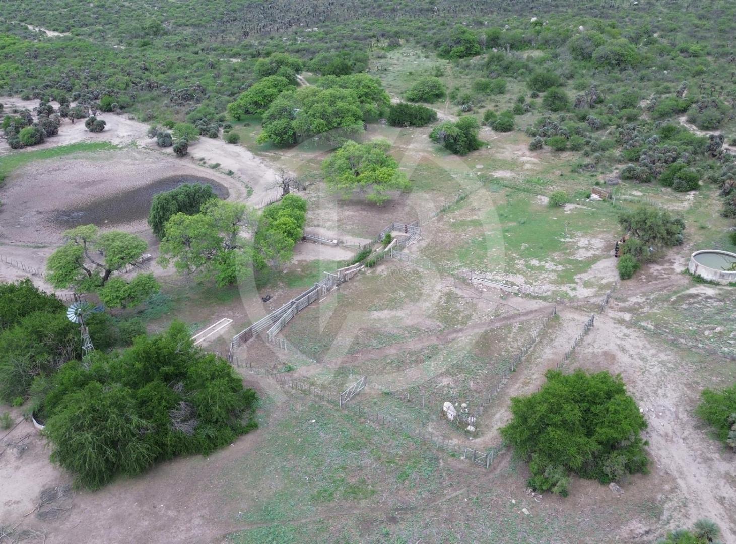 Foto de Campo Mixto, San Pedro Norte, Córdoba, imagen 4