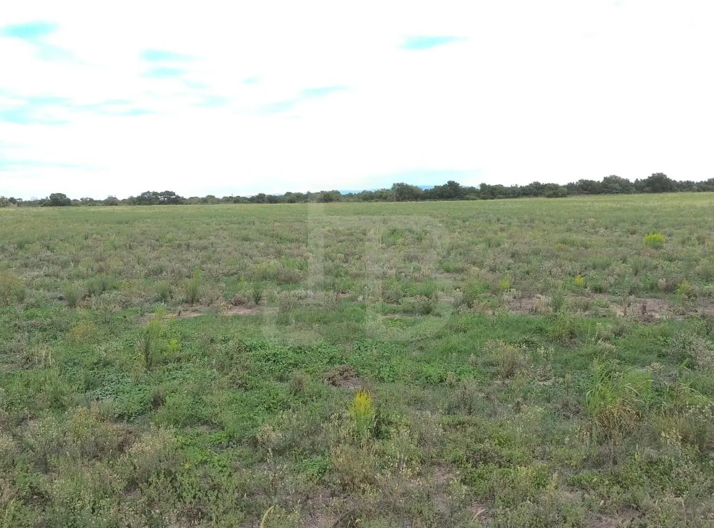 32 Has Agrícolas Lozada, Cordoba 2