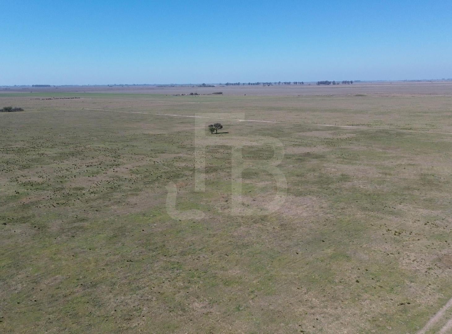 Foto de Campo Mixto Noetinger 110 Ha, imagen 3