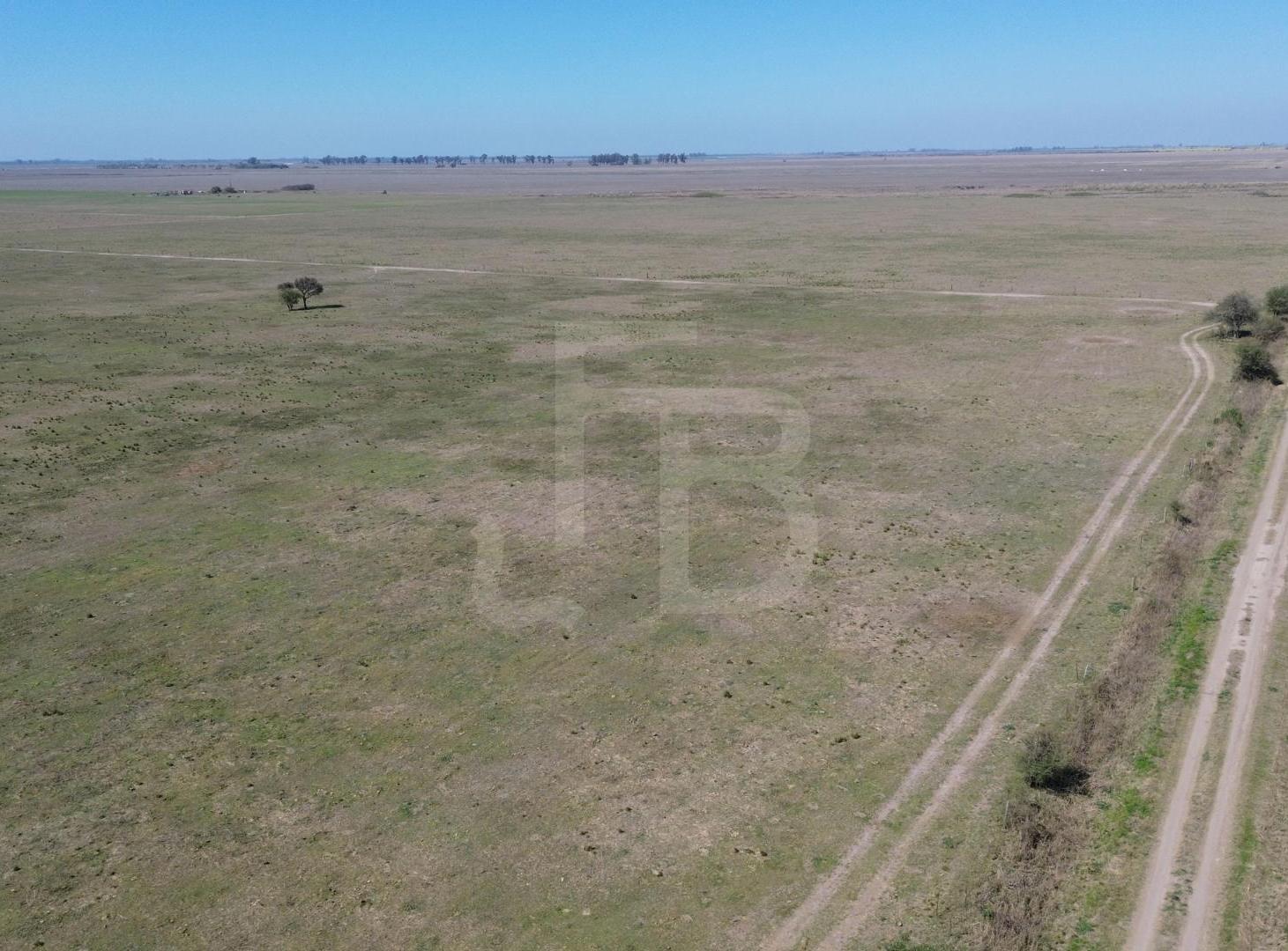 Foto de Campo Mixto Noetinger 110 Ha, imagen 5