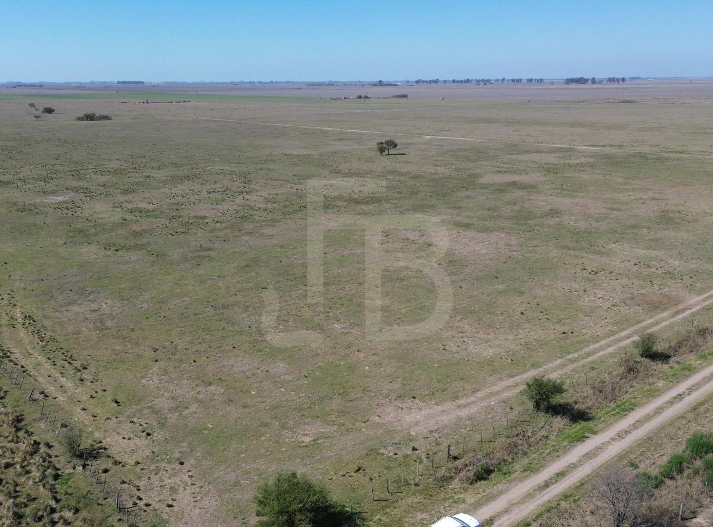 Foto de Campo Mixto Noetinger 110 Ha, imagen 4