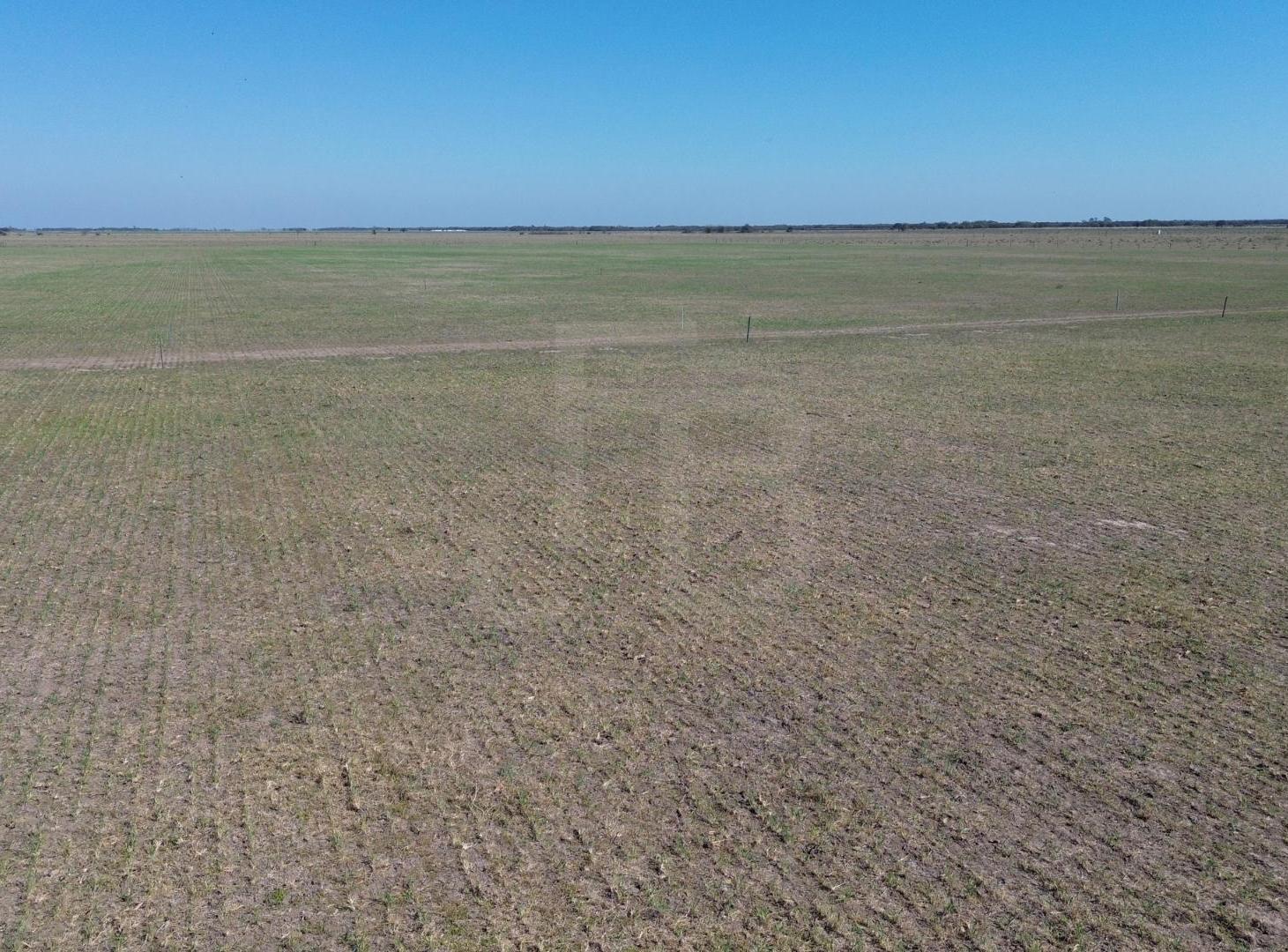 Foto de Campo Mixto Noetinger 110 Ha, imagen 1