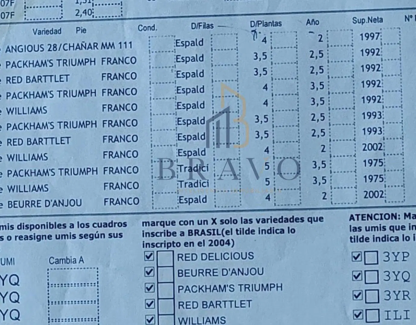 VENTA chacra 9,31 Hectáreas , en producción , variedad de peras. 4
