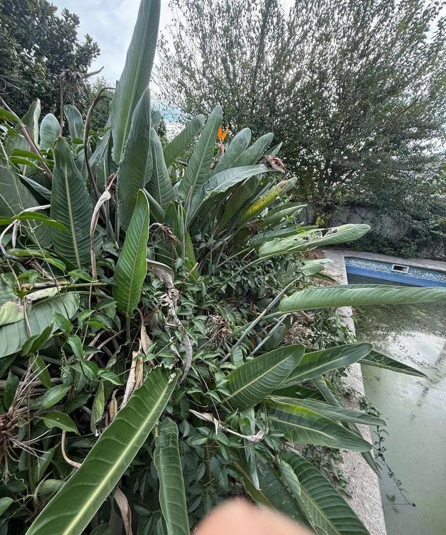 IMPORTANTE LOTE EN VENTA DE 300 MTRS2 5