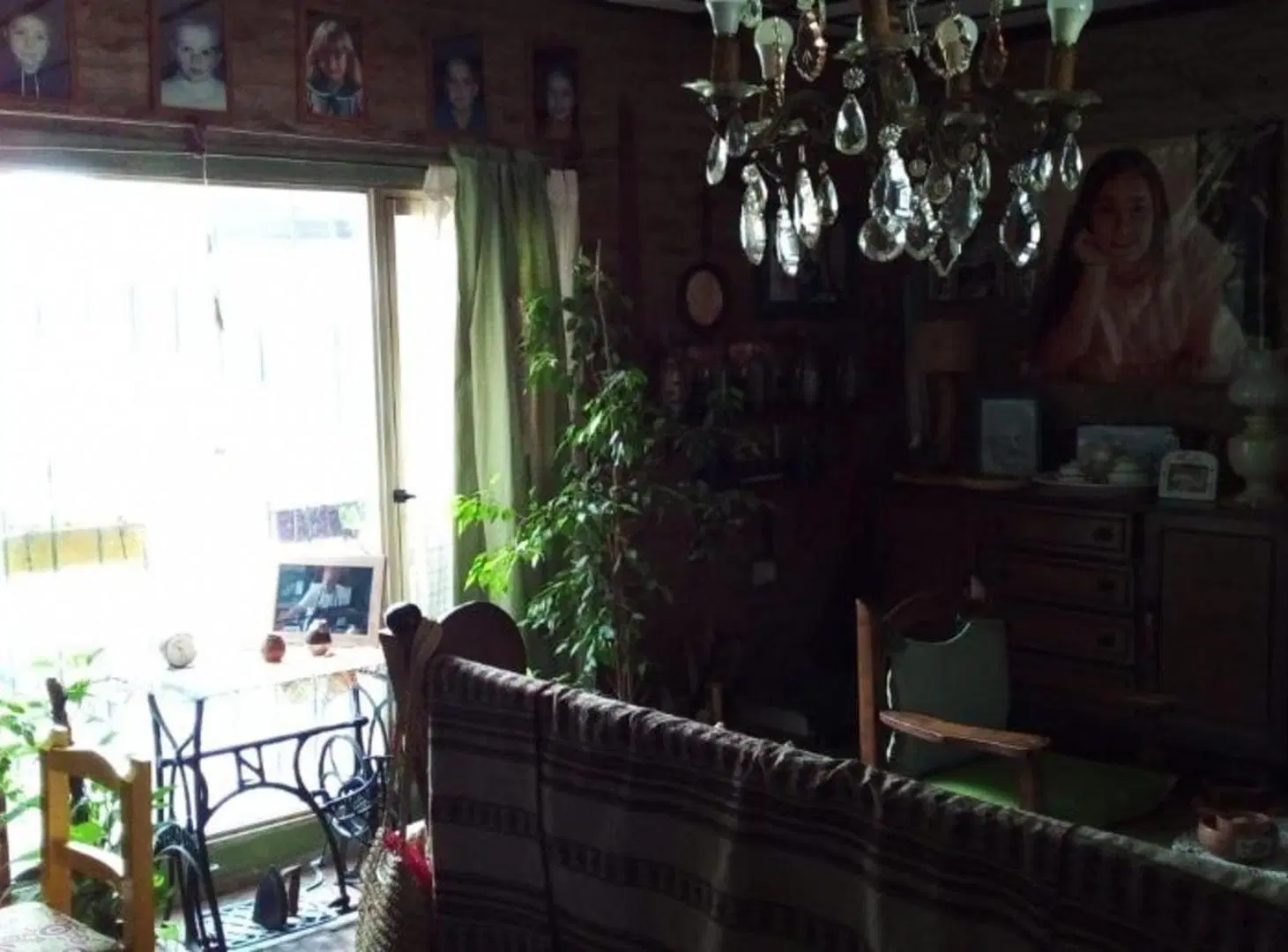 CASA QUINTA DE 3 AMBIENTES EN LOTE DE 1500 MTS2 -BRANDSEN 5