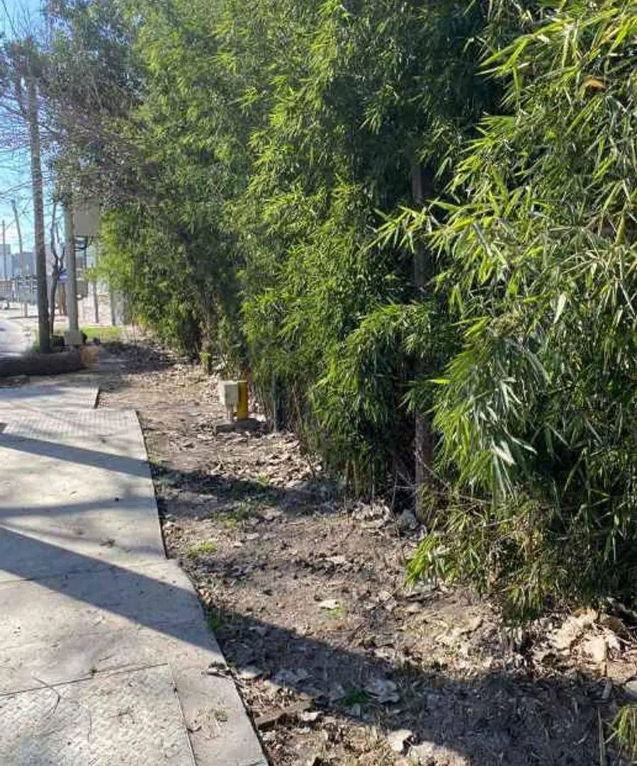 LOTE EN VENTA - ITUZAINGO NORTE 2