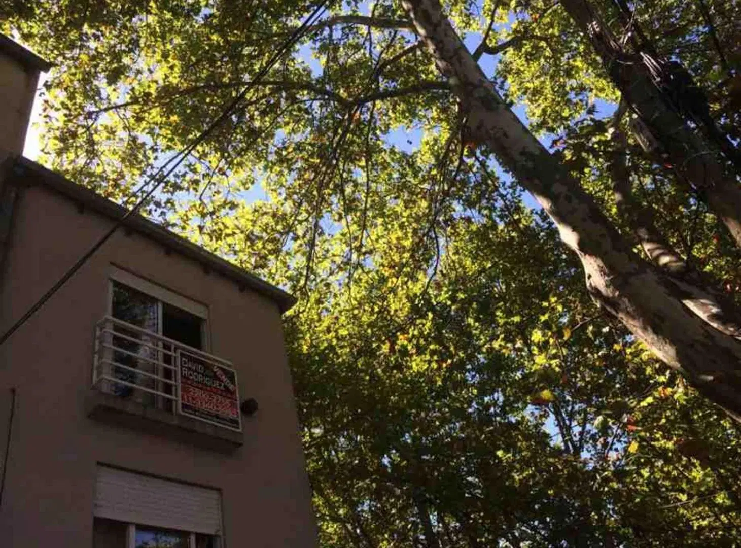 DEPARTAMENTO MONOAMBIENTE MUY LUMINOSO 2
