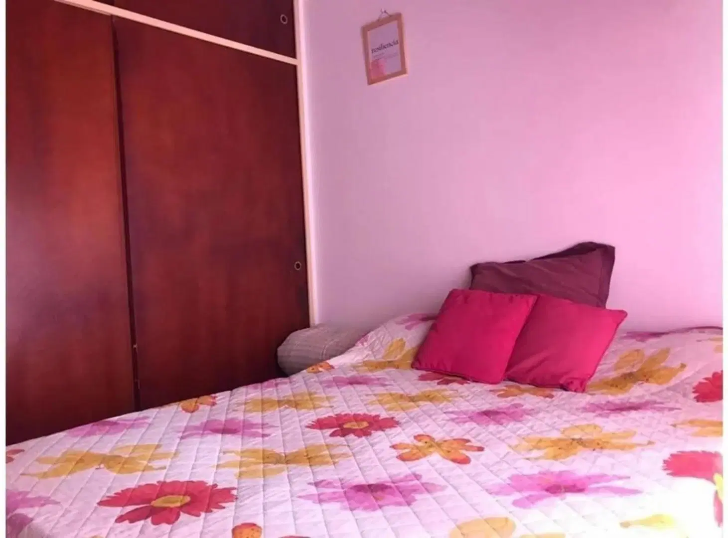 VENTA - EXCELENTE TRIPEX DE 3 AMBIENTES - HAEDO SUR 5