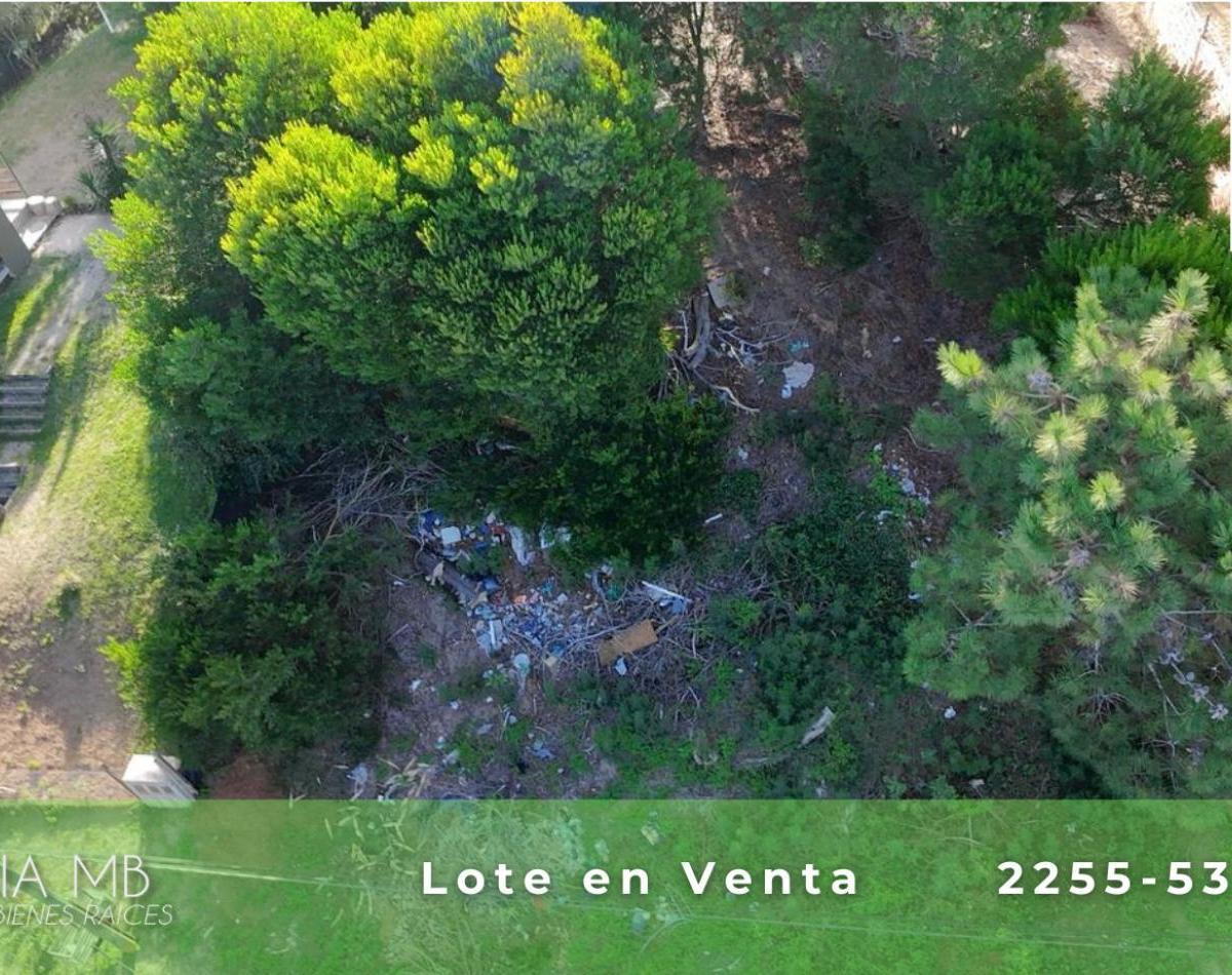 Lote en Venta - Multifamiliar - 950 m² Totales 4