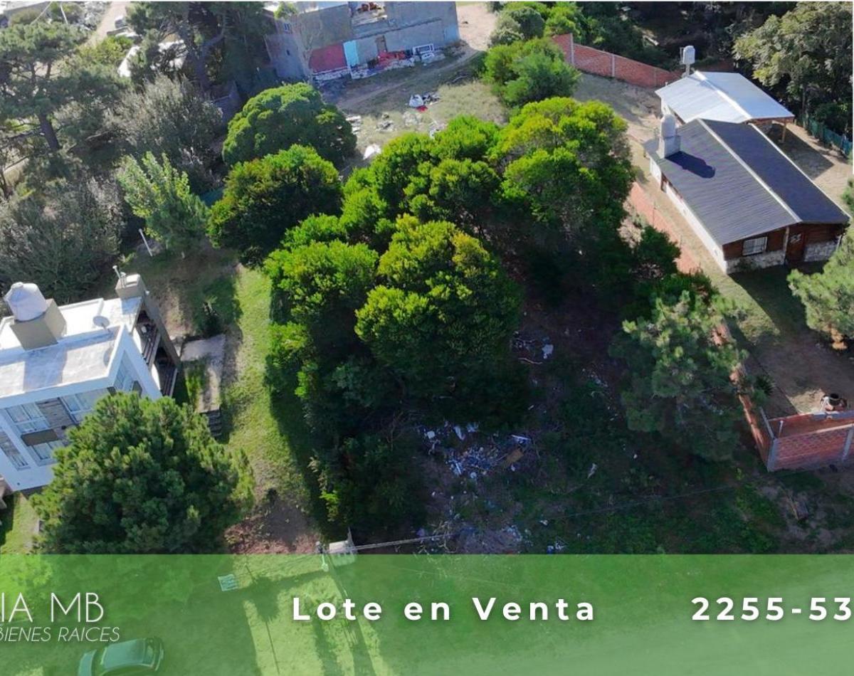 Lote en Venta - Multifamiliar - 950 m² Totales 2