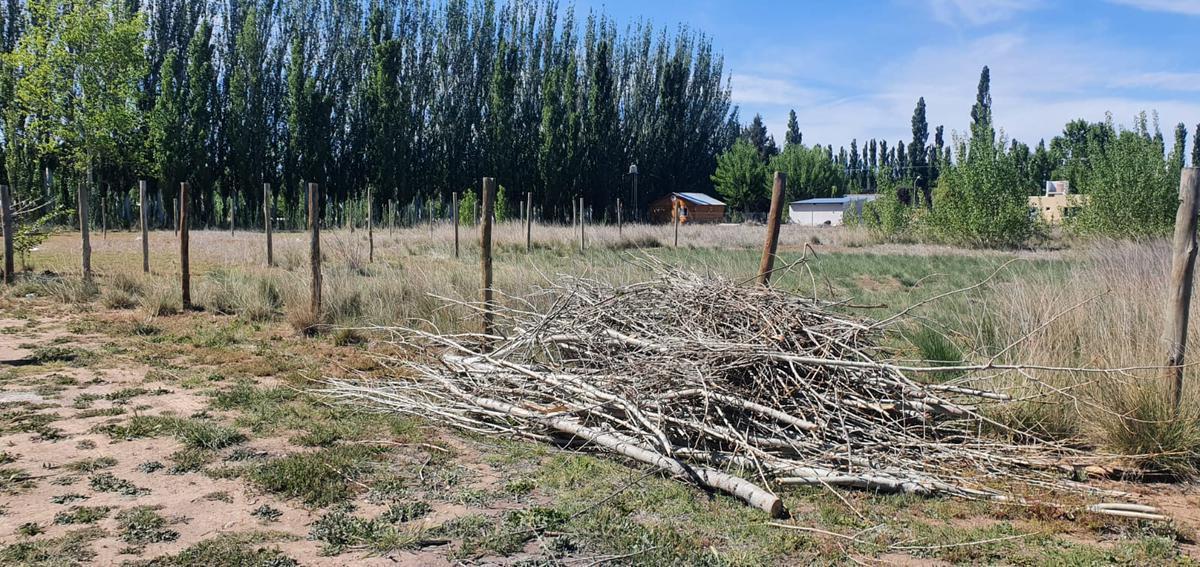 Terreno 565 m² en Camino del Sol Plottier 2
